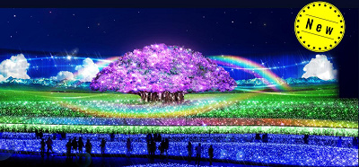 メインテーマ「奇跡の大樹」