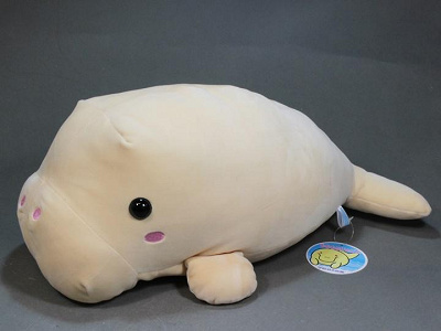 鳥羽水族館】日本でジュゴンに会える唯一の場所！ジュゴンの名前