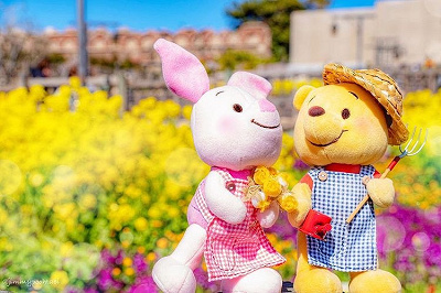 ♡nuiMOs♡ ディズニー　コスチューム　お洋服　おまとめ　ぬいもーず　♡ 必見】ディズニーのぬいもーずとは？ディズニーストア限定グッズ！ぬい