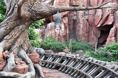 ビッグサンダーマウンテンで現れるオポッサム