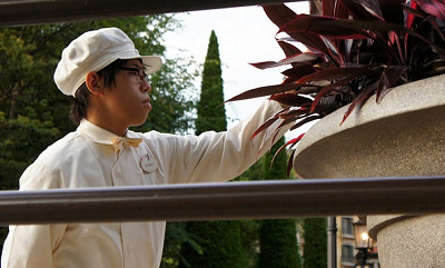 シーで人気のファン・カストーディアル