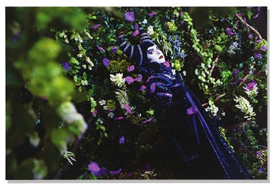 ポストカード（マレフィセント）