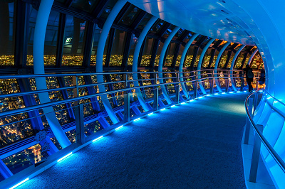 当日券の入場料金