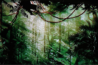 ステージのセット