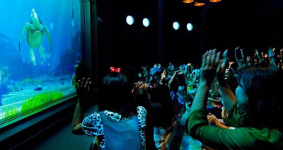 座る位置が重要