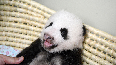 パッチリ開いた目がかわいい！