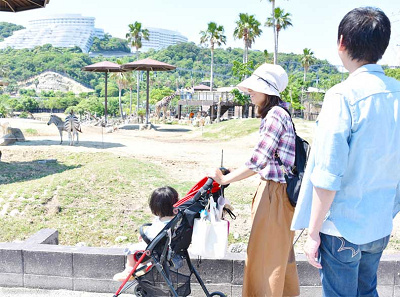 ウォーキングサファリ