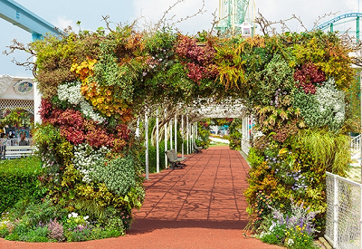 かしいかえんの跡地はどうなる?