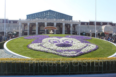 ディズニーランド