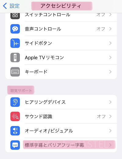 字幕設定の変更