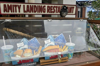 アミでランディングレストランのショーケース／USJ