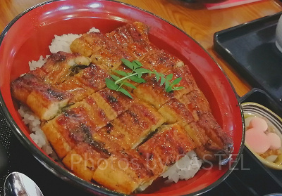 れすとらん北斎：鰻丼