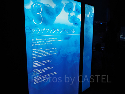 クラゲファンタジーホールの解説