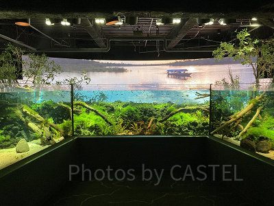 川崎水族館