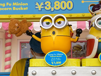 カンフーミニオンバケツ