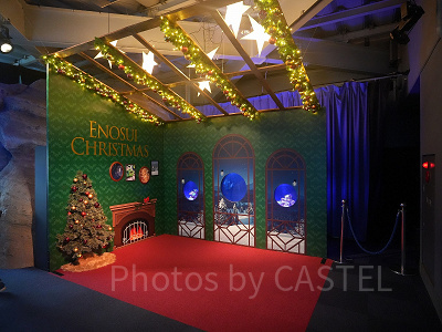 えのすいクリスマス：クリスマス限定の展示