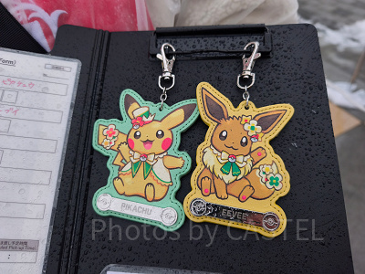 ポケパークカントーのお土産グッズおすすめ17選！ピンズ入りモンスター