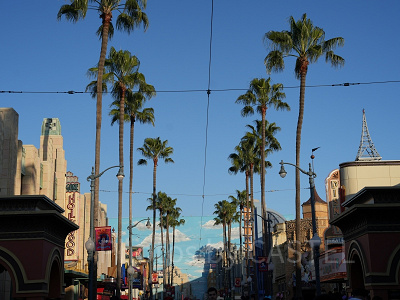 カリフォルニア・アナハイムディズニーの風景