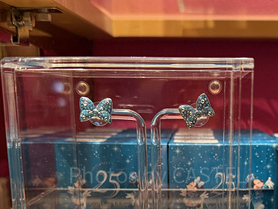 アプリ掲載なしのディズニーシー25周年グッズ一覧！ガラスグッズや