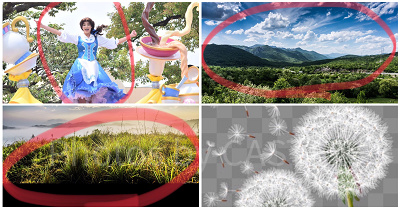 選んだ4枚の素材