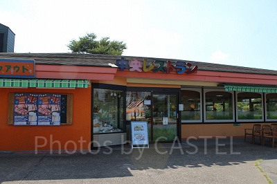 幼児からお年寄りまでうれしいメニューがそろう中央レストラン