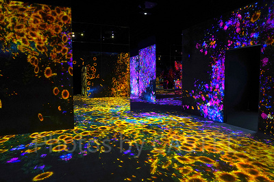 花と人の森、埋もれ失いそして生まれる