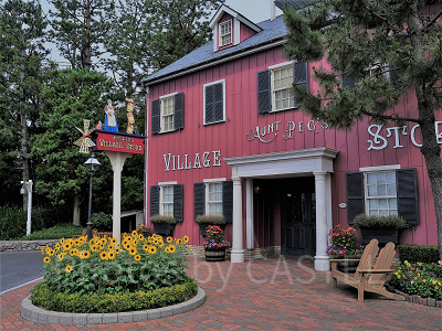 ダッフィーグッズが揃う人気のお土産屋さん♡