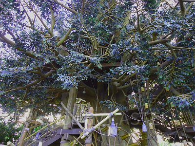 高いところから見るランドが絶景