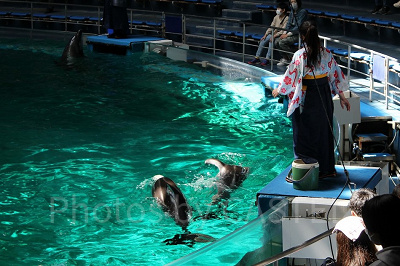春ならではの演目に合わせて袴姿のトレーナーさん