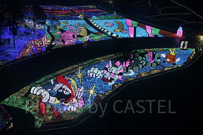 東京ドイツ村へのアクセス