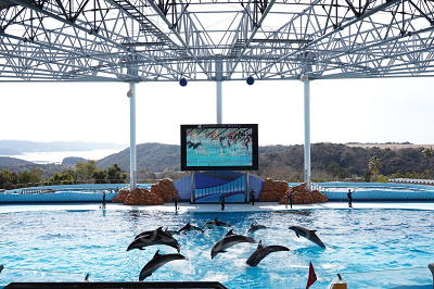 アドベンチャーワールドの前売り券:種類