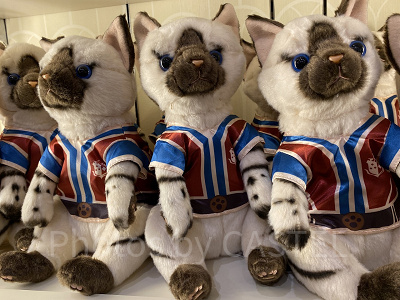 アイルーのぬいぐるみ／USJモンハングッズ2023