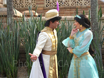 アラジンとジャスミンのペアグリ