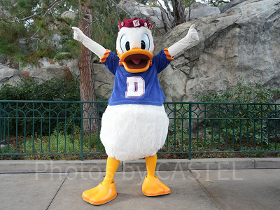 カリフォルニアアナハイムディズニー：米国特有の「サマータイム」に注意！