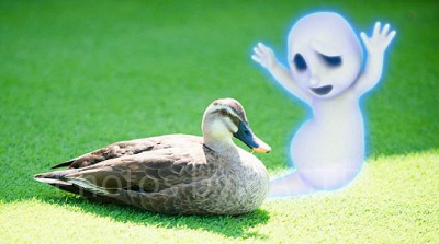 カモを脅かす見習いゴースト