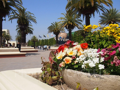 4月の天候とおすすめの服装