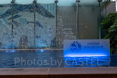 水族館パスポート（年間パスポート）