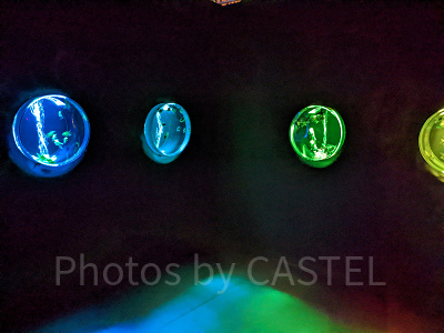 アートアクアリウム銀座　金魚蒐集