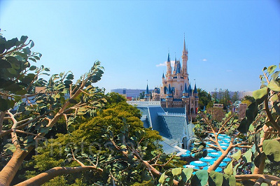 頂上ではこんな素敵な景色も見れる♪