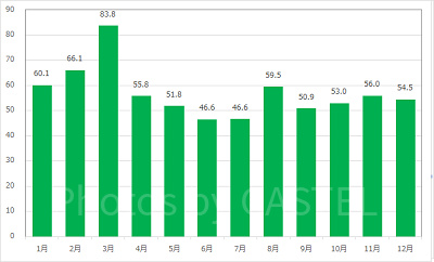 月別に見ても、他アトラクションに比べて平均待ち時間が長い