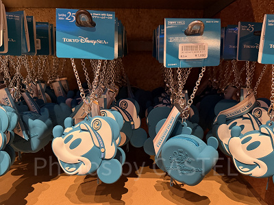 バッグチャームケース付(ディズニーシー25周年グッズ)