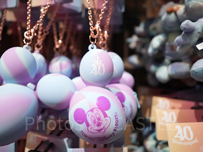 バッグチャーム（ディズニー40周年グッズ）