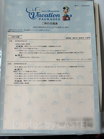 バケパ工程表