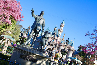 「D23」の基本情報