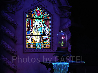 美女と野獣“魔法のものがたり” まとめ