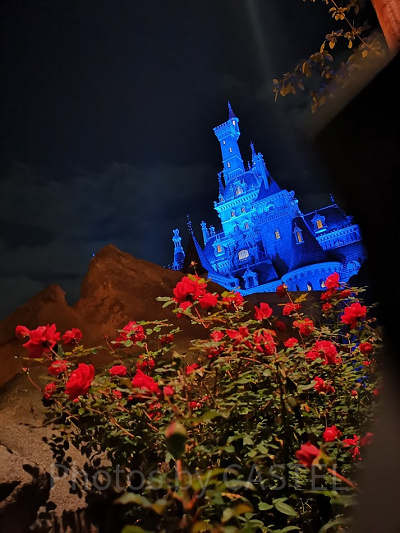 「美女と野獣“魔法の物語”」