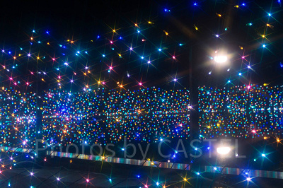 何度も通いたくなる美しさ