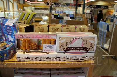 シロイルカのワッフル