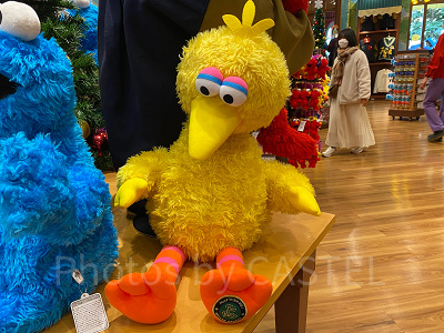 ビッグバードの特大ぬいぐるみ