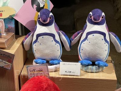 紅型フンボルトペンギン